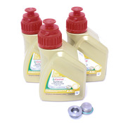 BMW Differential Service Kit 75W140 (E46 E90 E92 E93) - Genuine BMW 33117525064KT6